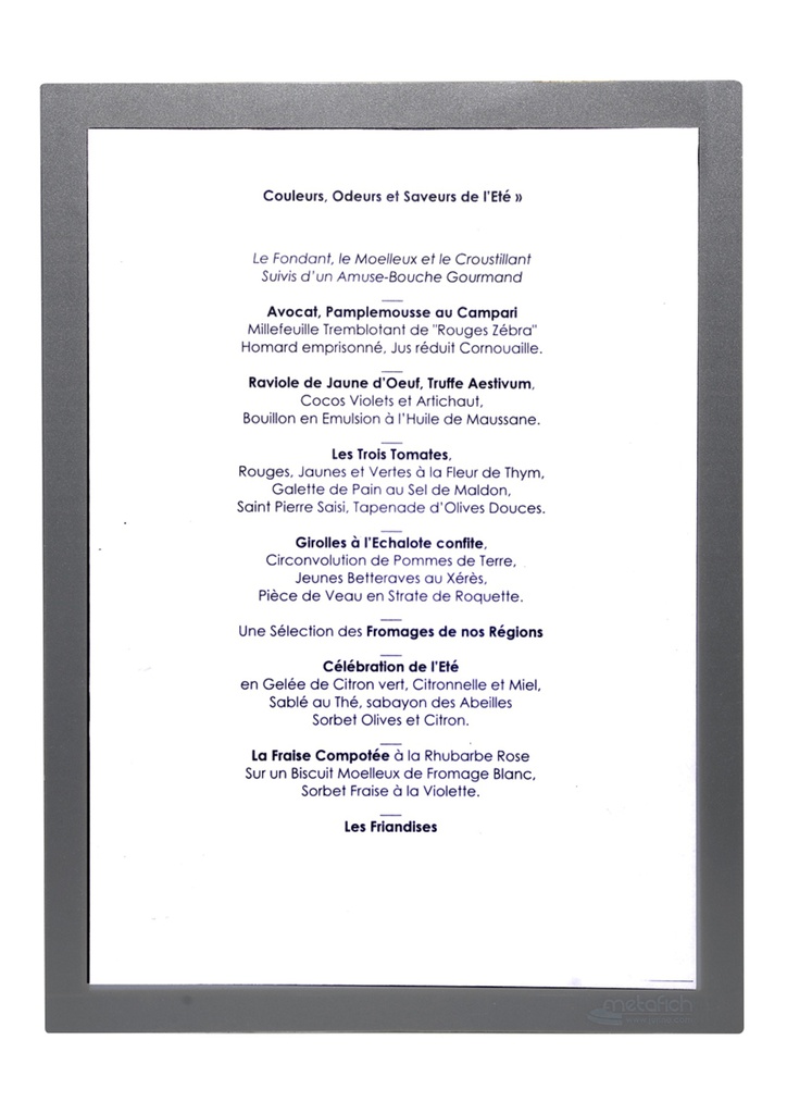 Protège-Menu VIENNA A4 2 pages - Gris